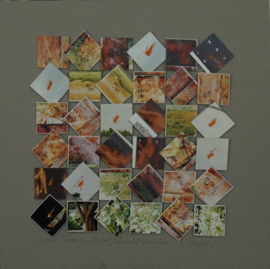17 Peisaj 3’transfer in imagine – interventie in photo – 23’23cm