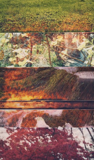 20 Maluri – interventie, foto – 37 ‘ 27 cm